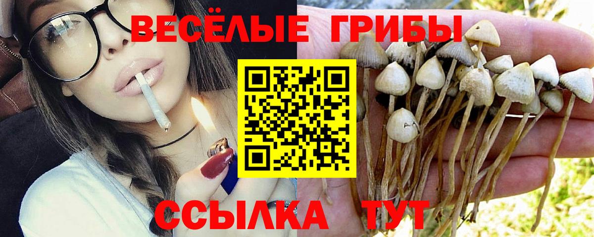 Серпухов  Галлюциногенные грибы мухоморы  Вход с VPN 